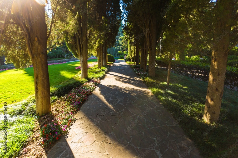 阳光明媚的日子里，花园里树木盛开的散焦背景，背景