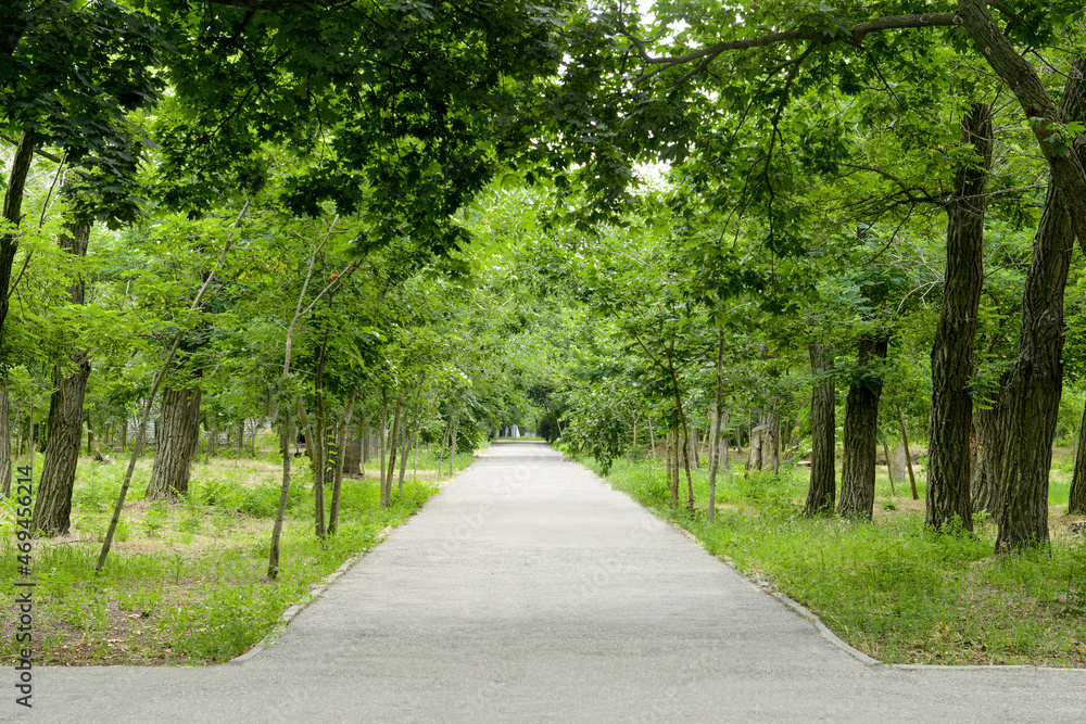 美丽城市公园的小巷小路