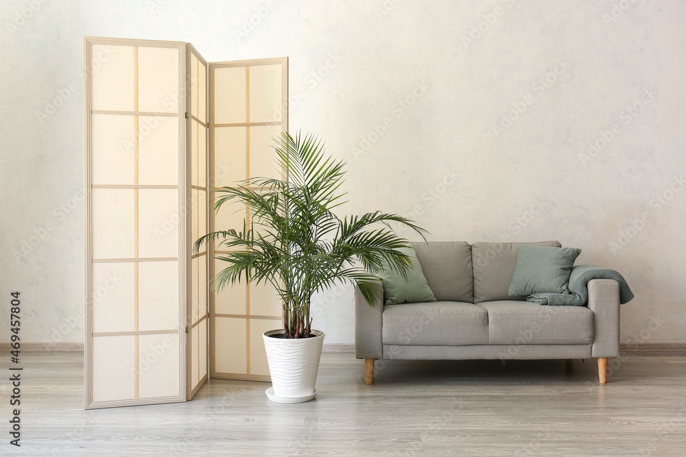 Stylish folding screen, sofa and houseplant near wall in room interior