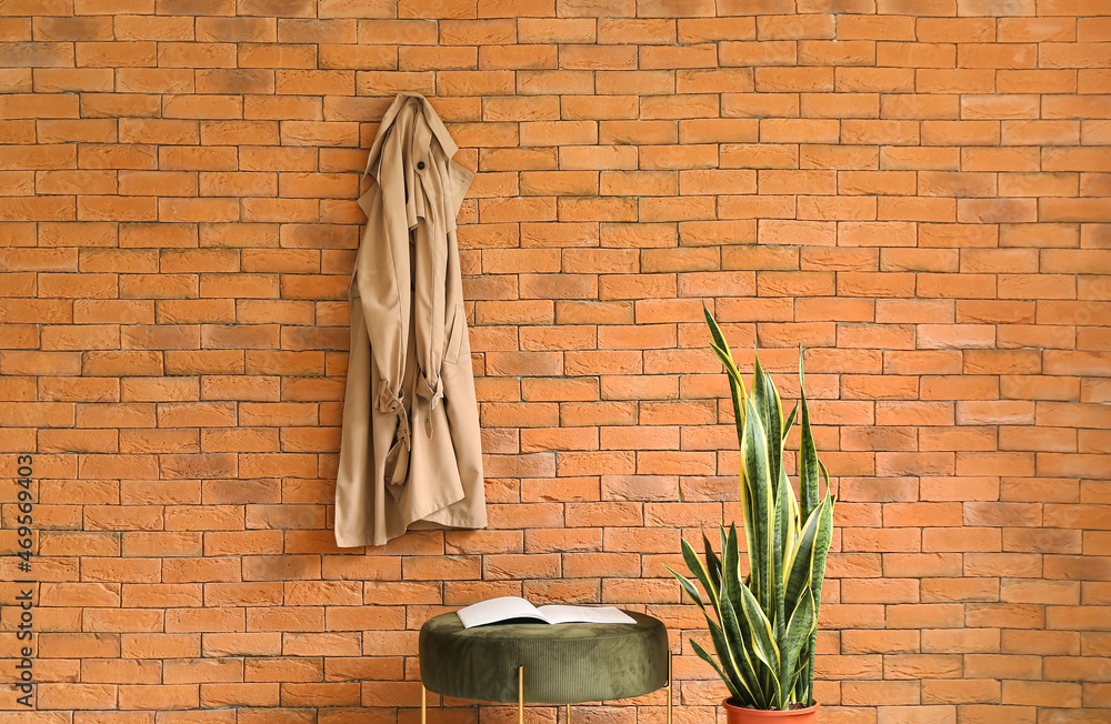 Pouf, houseplant and coat hanging on brick wall