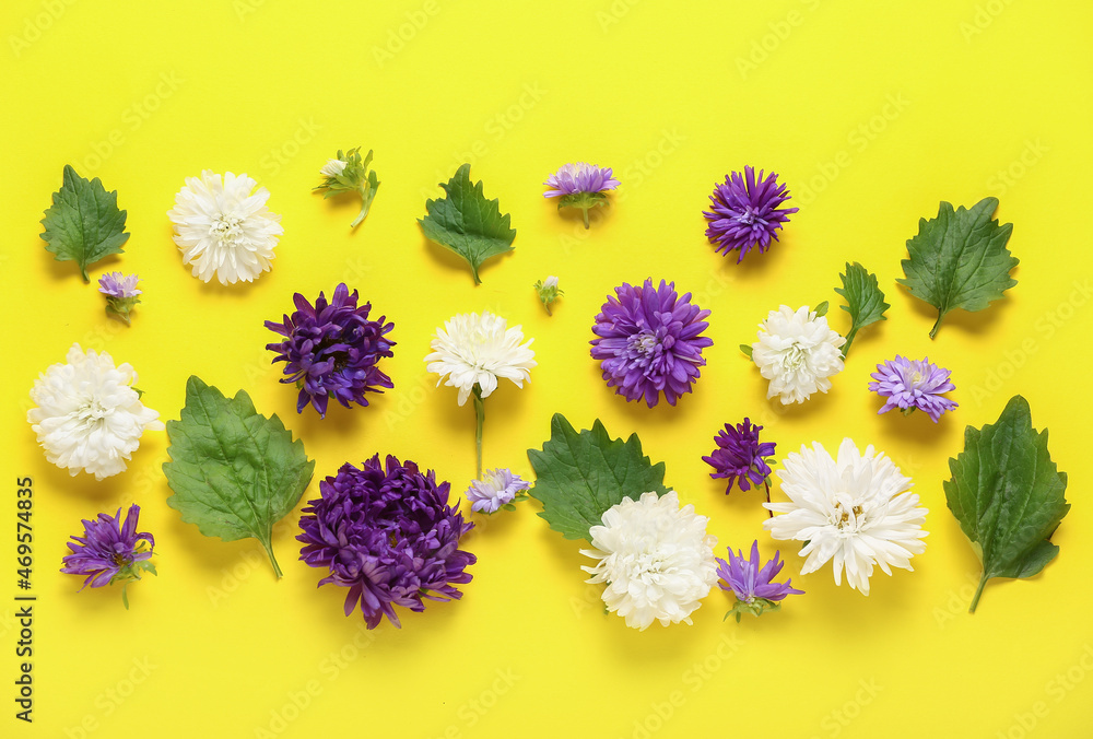 Many aster flowers and leaves on yellow background