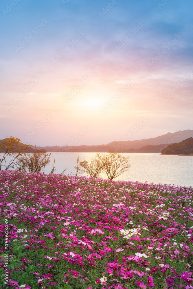 夕阳下的千岛湖美景