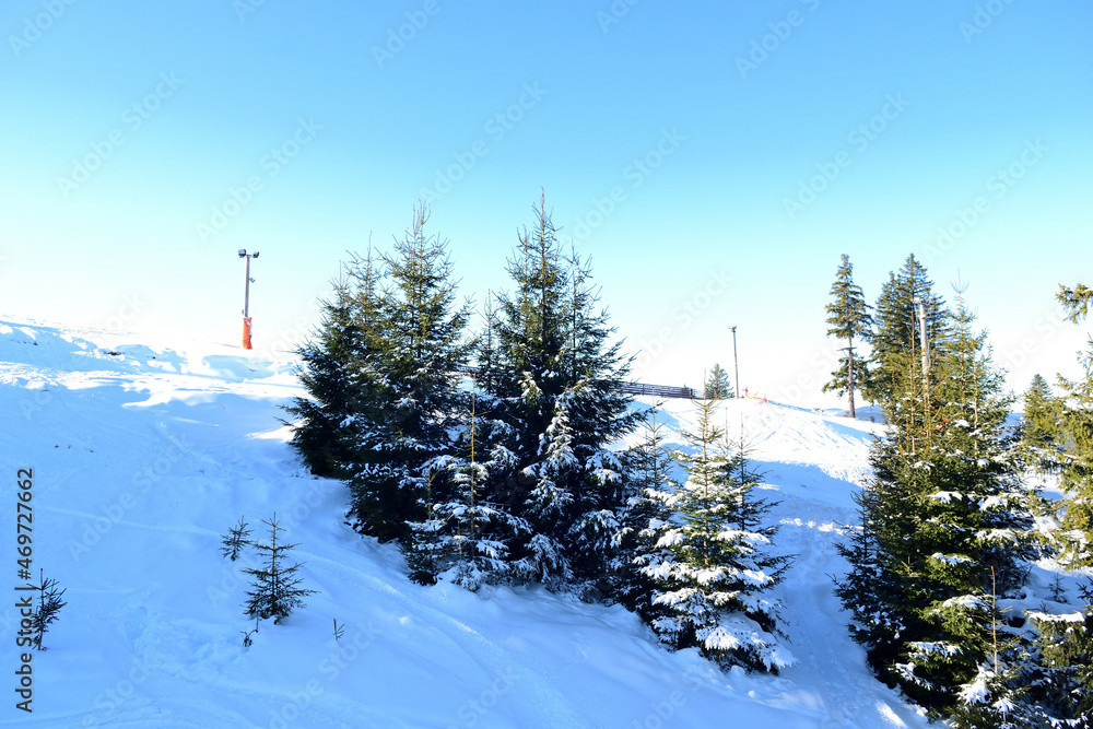 ski resort in winter