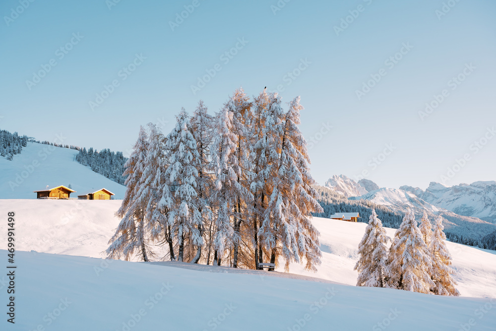 Seiser Alpe di Siusi草地上的小木屋、小屋或小木屋风景如画