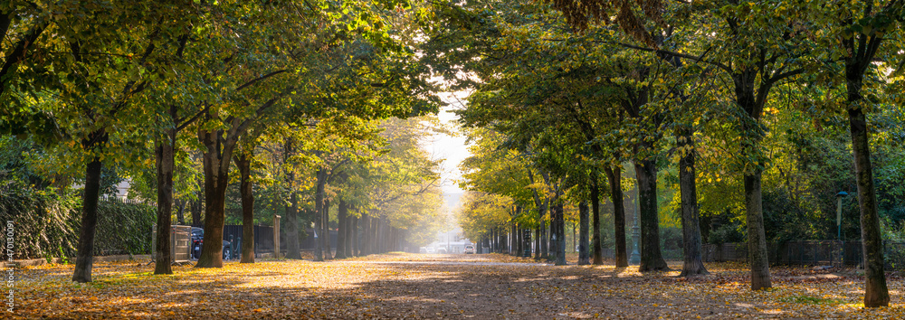 法国巴黎Champ de Mars公园全景