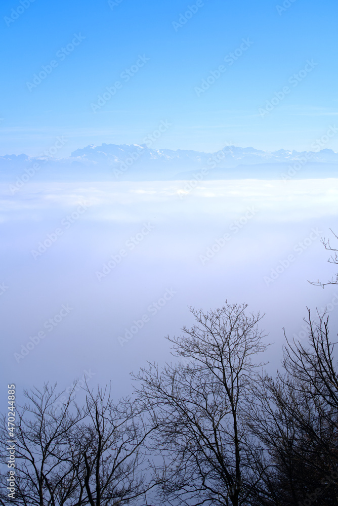 Panorama with silhouettes of trees and sea of fog seen from local mountain Uetliberg at Canton Züric