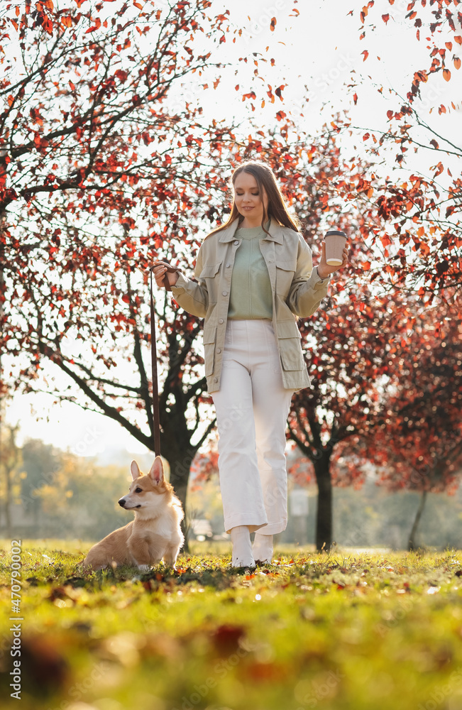 秋天公园里，年轻女子和可爱的柯基犬散步