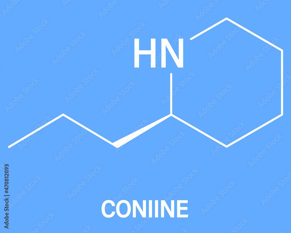 Coniine草本毒素分子。存在于毒铁杉（Conium maculatum）中。骨骼配方。