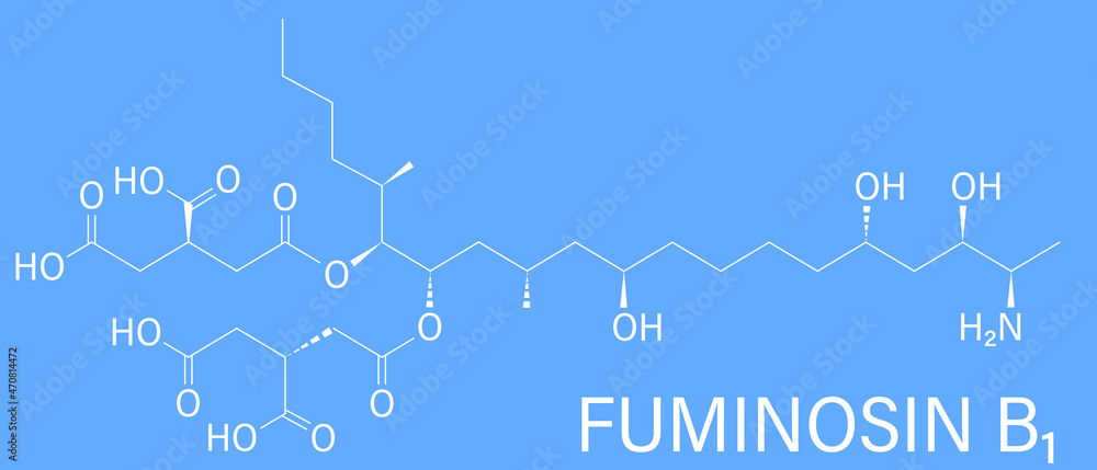 伏马菌素B1真菌毒素分子。由一些镰刀菌霉菌产生的真菌毒素，通常存在于玉米中