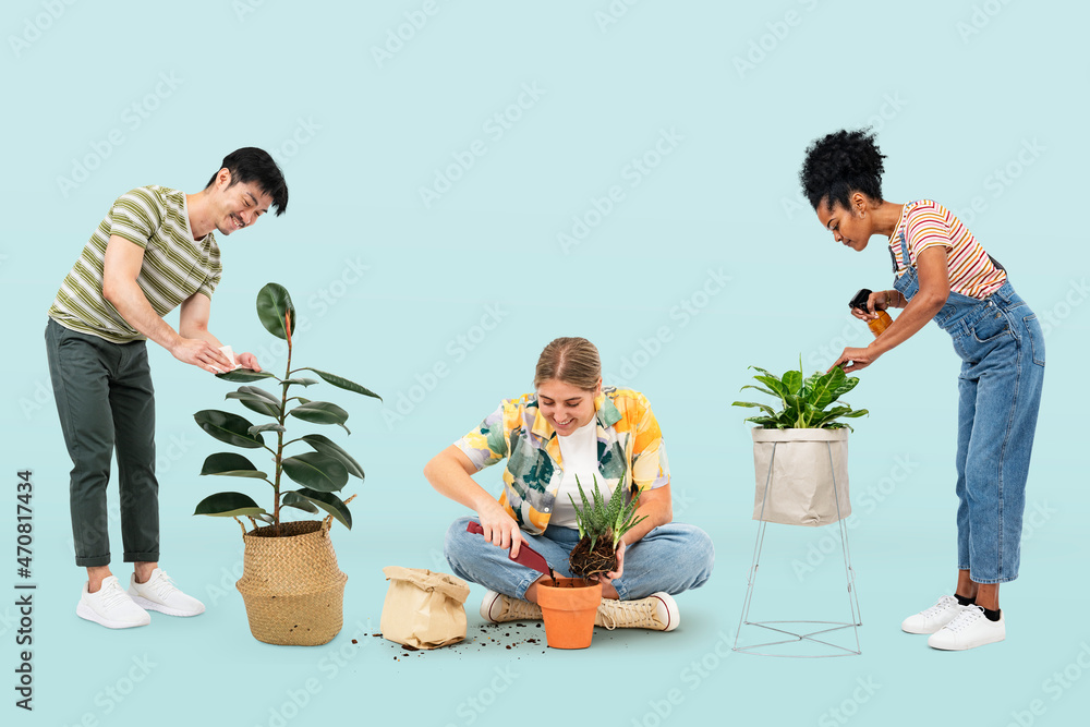 植物父母照顾他们的室内植物