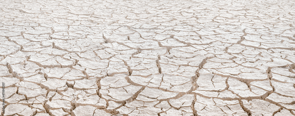 Cracked white clay on dried lakebed, natural pattern with diminishing perspective