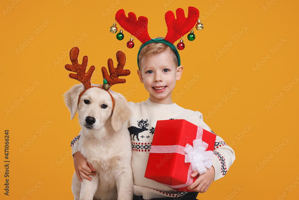 Happy preschool boy with Christmas gift hugging Golden Retriever puppy, wearing red reindeer horns