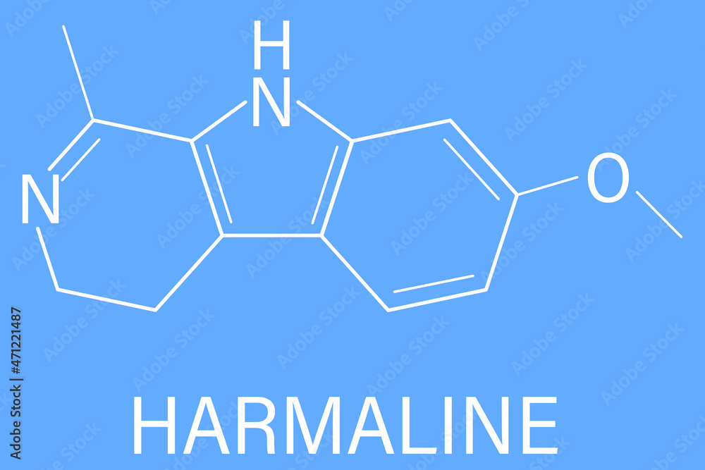 Harmaline吲哚生物碱分子。在叙利亚芸香中发现。骨架配方。