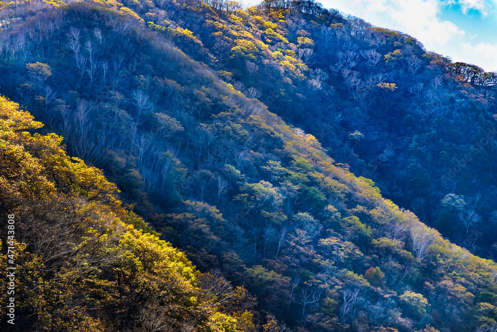 赤城山から見る紅葉した山の景色