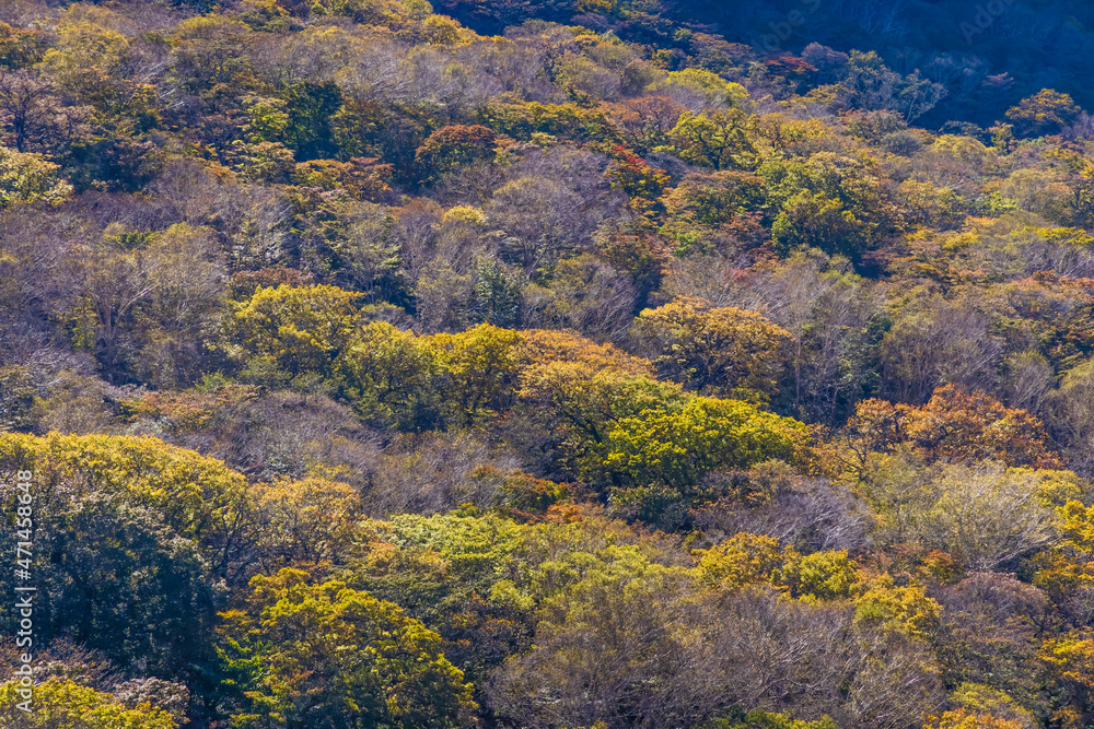 赤城山から見る紅葉した山の景色