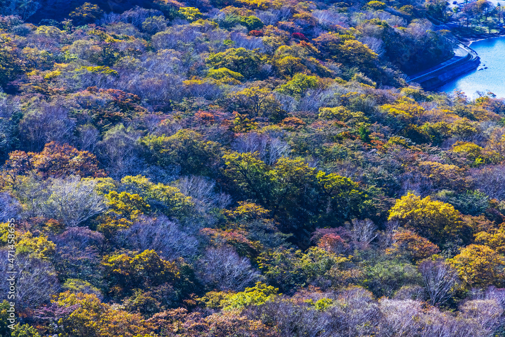 赤城山から見る紅葉した山の景色