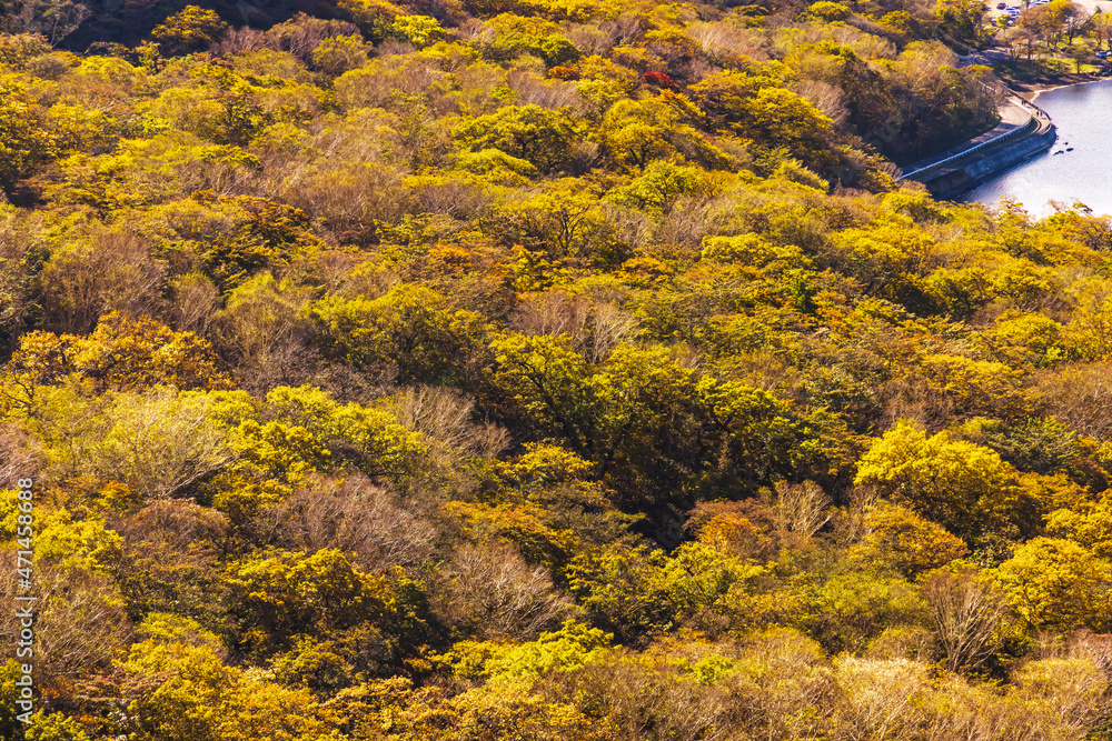 赤城山から見る紅葉した山の景色