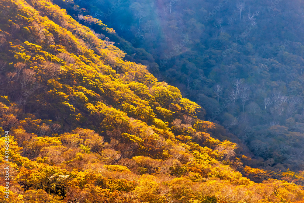 赤城山から見る紅葉した山の景色