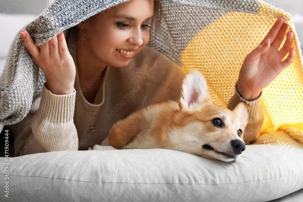 年轻女人和可爱的柯基犬躺在家里的小袋上