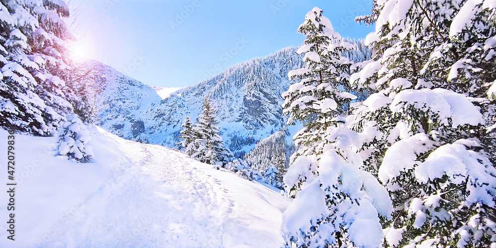 鞑靼山脉的冬季冰雪景观，有冷杉、道路、阳光和山脉。新年快乐