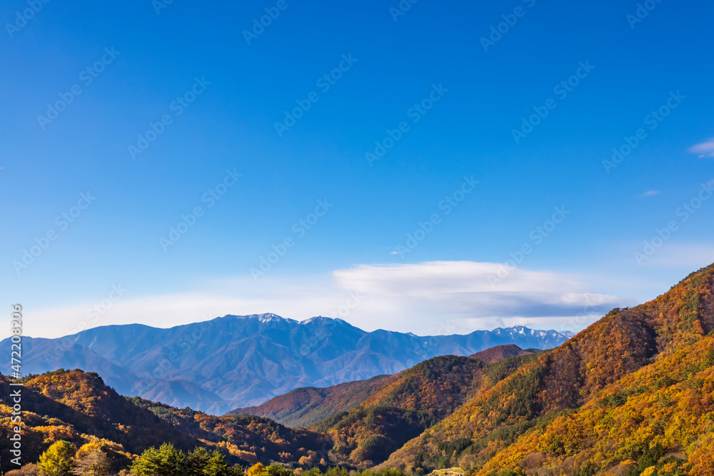 美しい山と紅葉した木