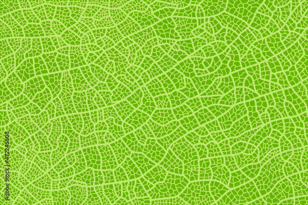 Digital drawing fresh green leaf with veins texture, abstract green leaf texture