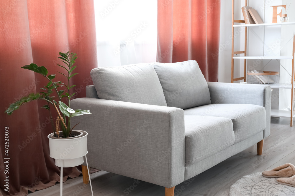 Grey sofa and houseplant near red curtains