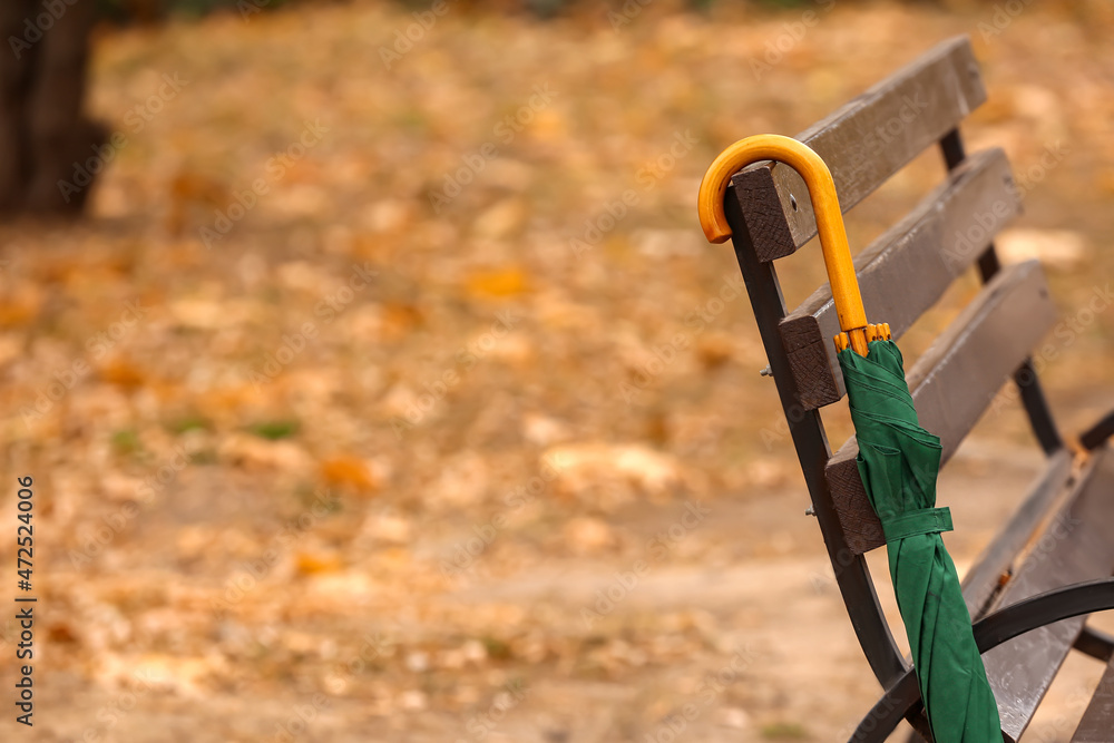 Stylish bright umbrella hanging on bench in autumn park, closeup