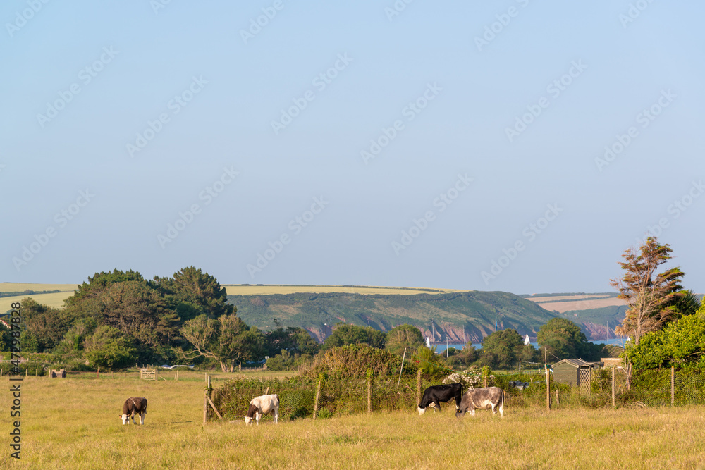 Dale，South Wales，UK，Summer，湖畔