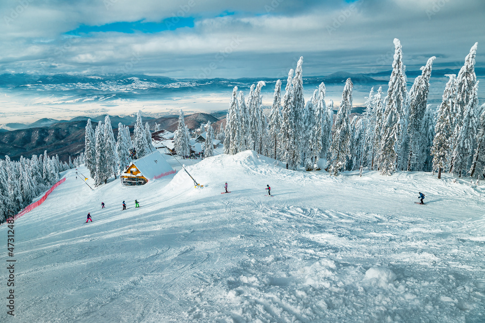 Skiers on the slope and snowy forest in background, Romania