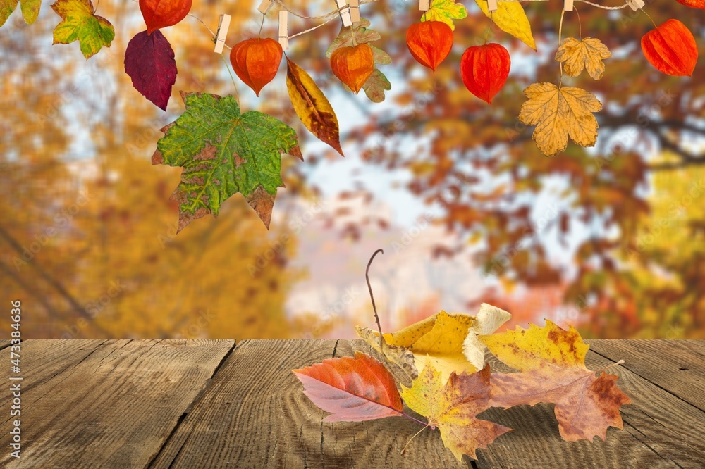 Wooden table with orange leaves autumn and fall background in beautiful nature