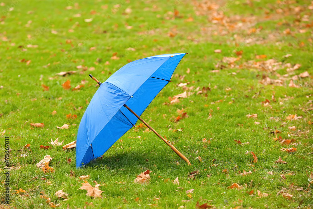 Stylish bright umbrella on green grass outdoors