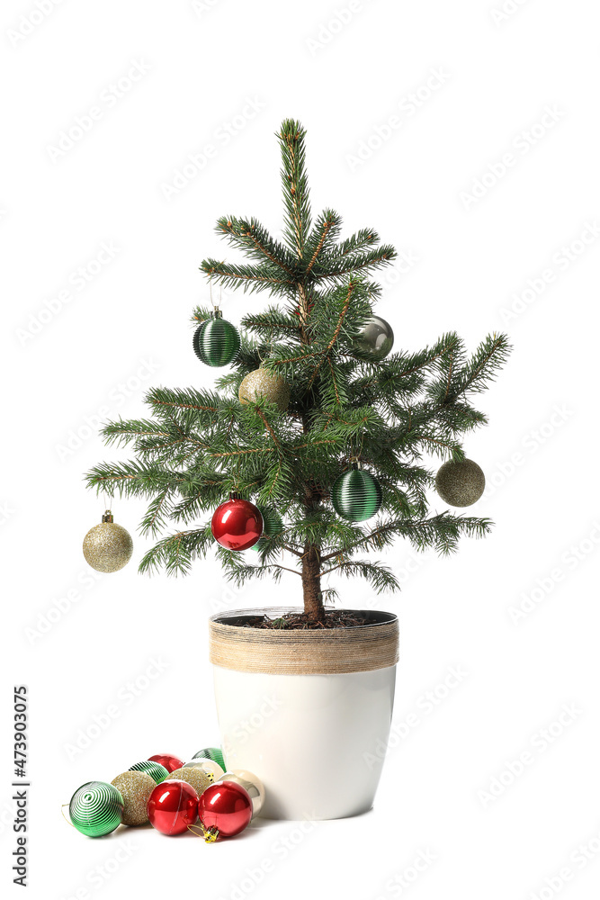 Christmas tree with beautiful balls isolated on white background