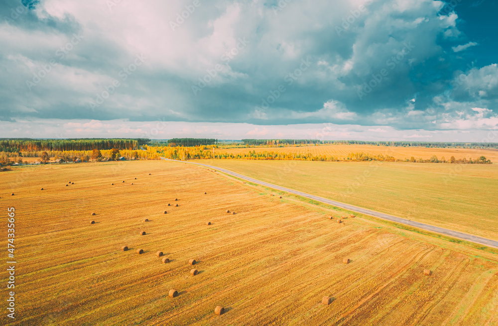 Aerial View Of Autumn Hay Rolls Straw Field Landscape. Haystacks, Hay Rolls. Harvest Season