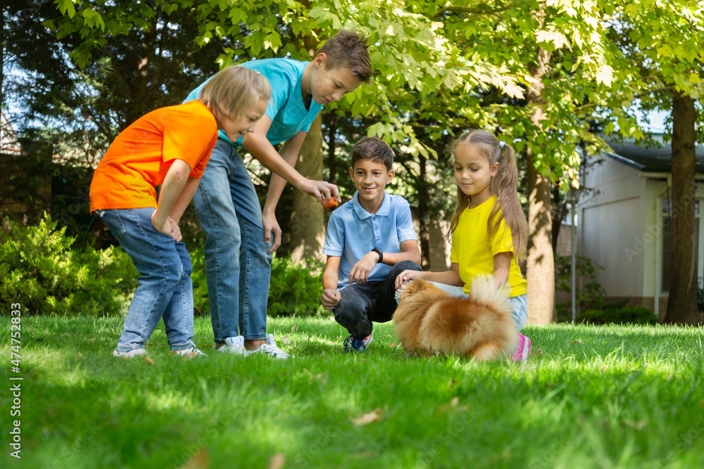 Smiling Beautiful schoolchild Playing with Happy little Dog on the Backyard Lawn.