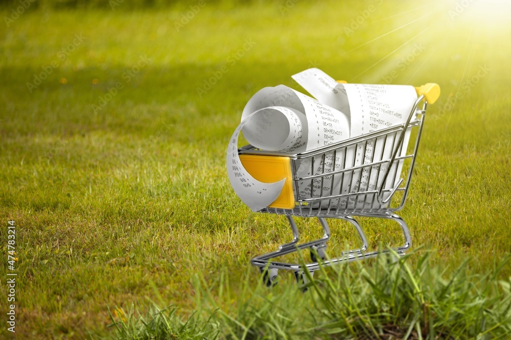 Sustainable consumption. Small shopping cart on green grass background. Zero waste concept.