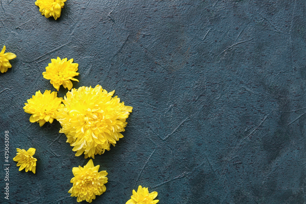 Yellow chrysanthemum flowers on dark background