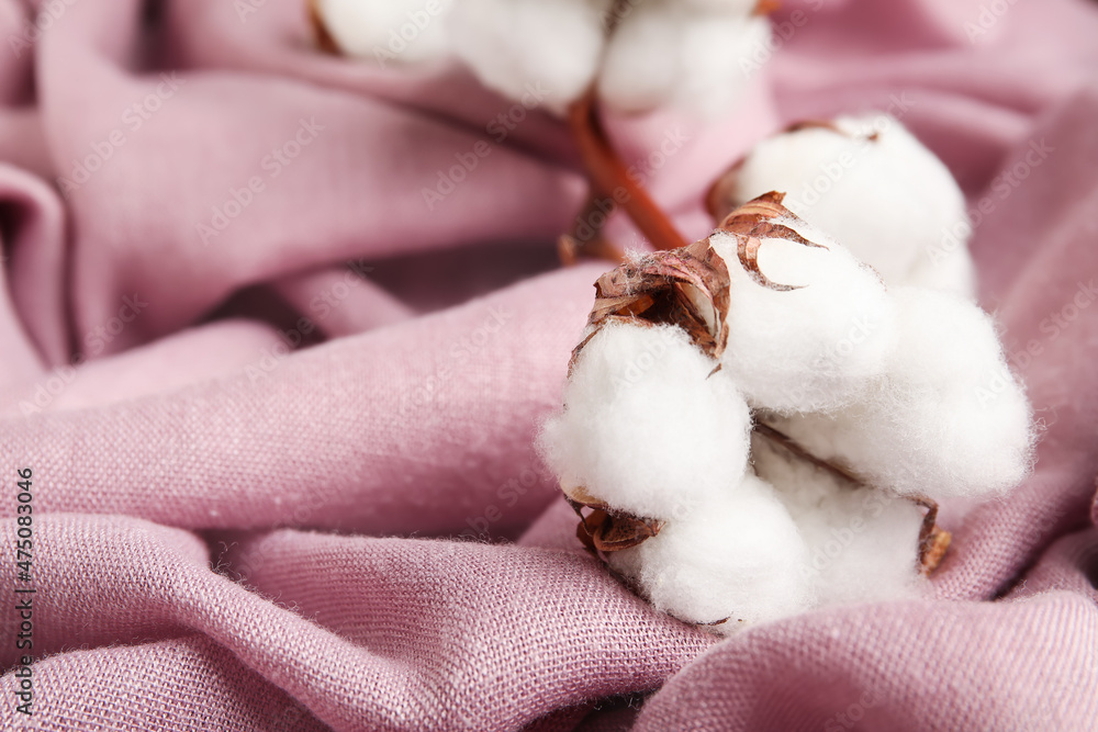 Beautiful cotton flower on crumpled fabric background, closeup