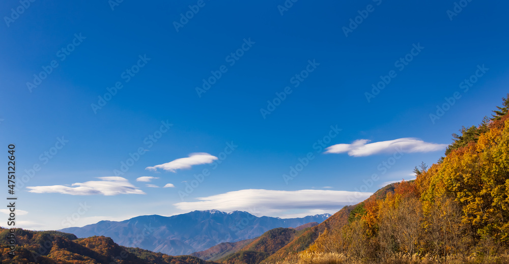 綺麗な山と紅葉した木