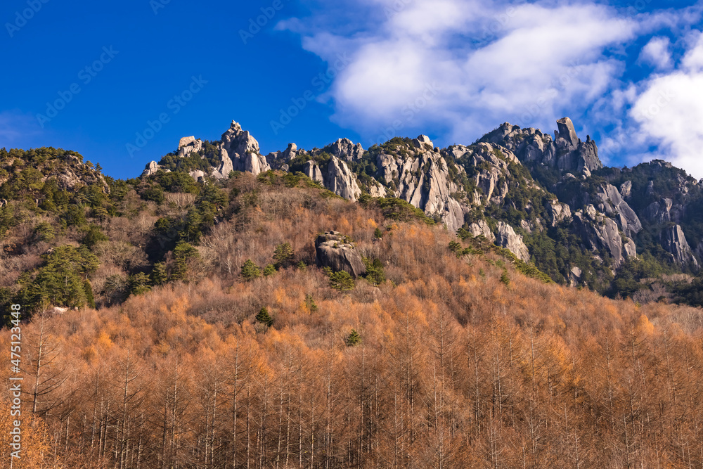 紅葉した木が生える、岩だらけの山　瑞牆山