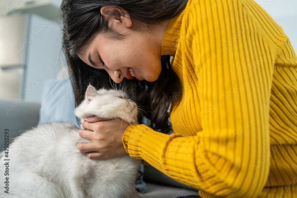 亚洲女人抱着小猫玩，在家里很开心。