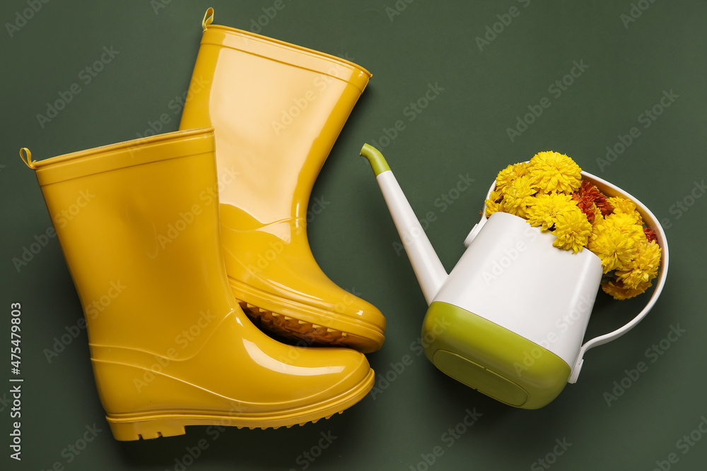 Watering can with beautiful Chrysanthemum flowers and gumboots on green background