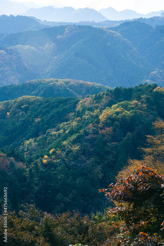 高尾山　秋の山並み　中腹の展望台からの風景