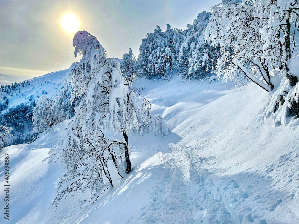 镜头闪光：空旷的徒步小道在风景优美的朱利安阿尔卑斯山上的雪山上穿行。