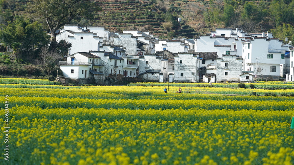 美丽古老的中国传统村落景观，周围群山环绕