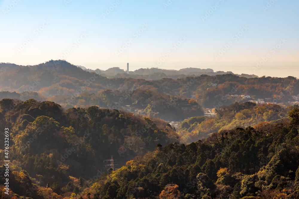 美しい山と紅葉した木