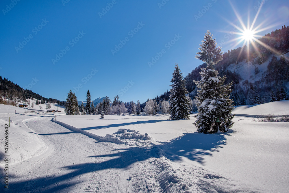 奥地利的Idylic冬季景观，Heutal，Unken，Salzburg Land，奥地利