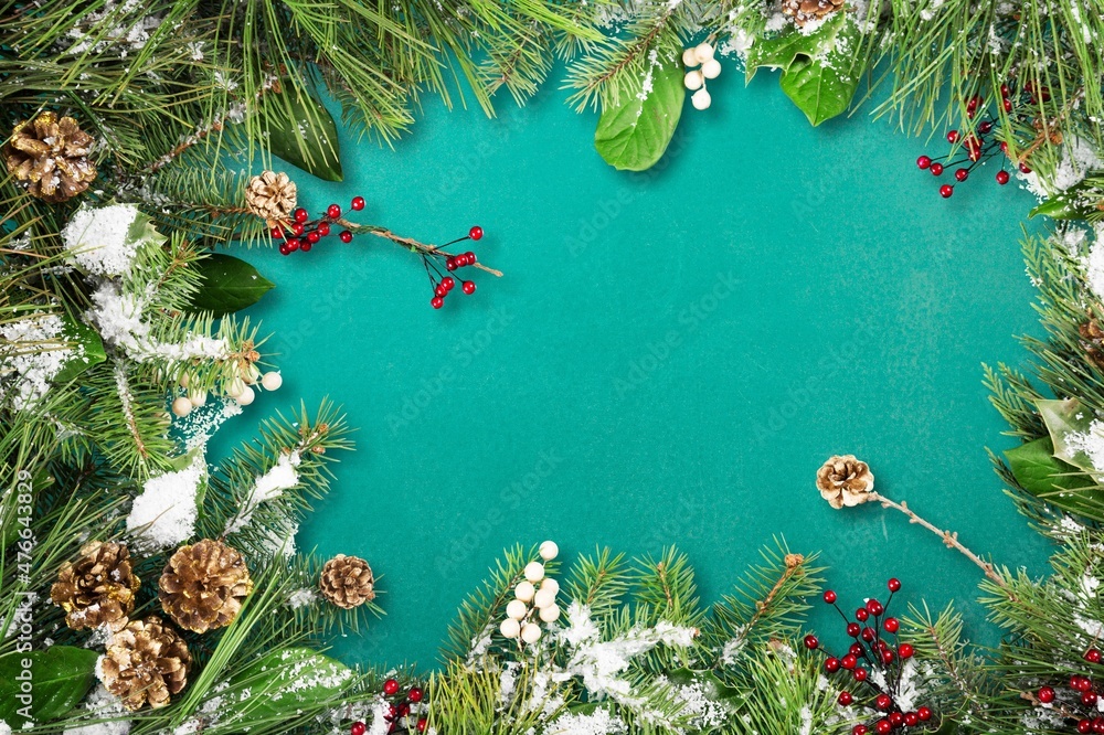 Winter tree on Christmas background border with holly, cedar cypress, mistletoe, pine cone and ivy l