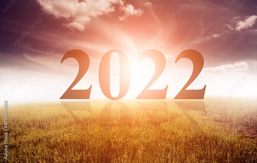 2022年在空旷的草原和日出时的剪影