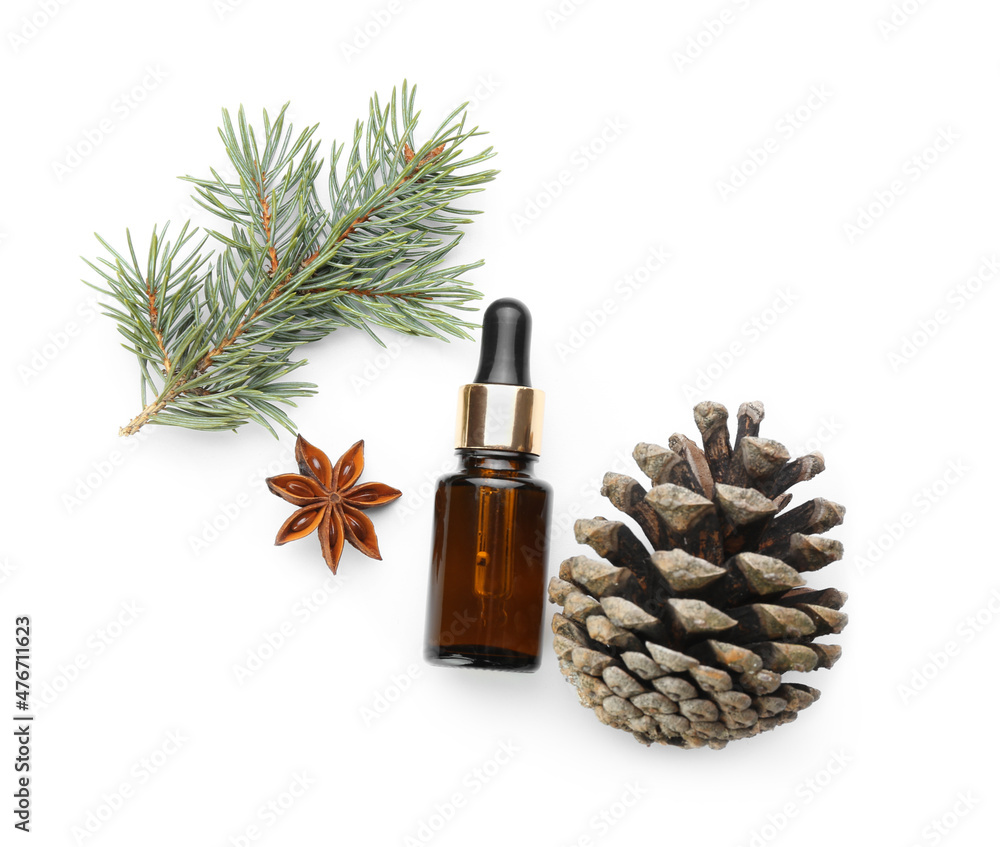 Bottle of essential oil, fir branch and cone isolated on white background